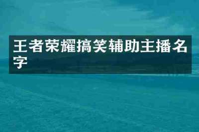 王者荣耀搞笑辅助主播名字