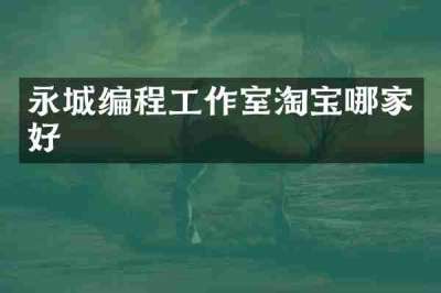 永城编程工作室淘宝哪家好