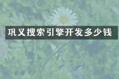 巩义搜索引擎开发多少钱