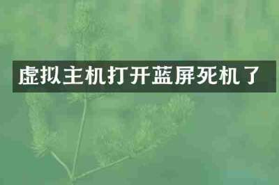 虚拟主机打开蓝屏死机了