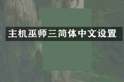 主机巫师三简体中文设置