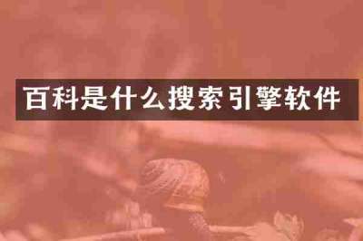百科是什么搜索引擎软件