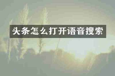 头条怎么打开语音搜索