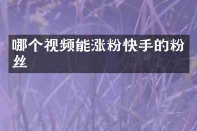 哪个视频能涨粉快手的粉丝