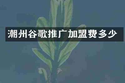 潮州谷歌推广加盟费多少