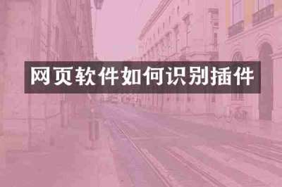 网页软件如何识别插件