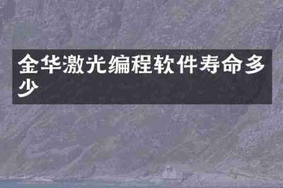 金华激光编程软件寿命多少