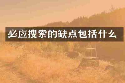 必应搜索的缺点包括什么