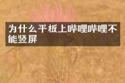 为什么平板上哔哩哔哩不能竖屏