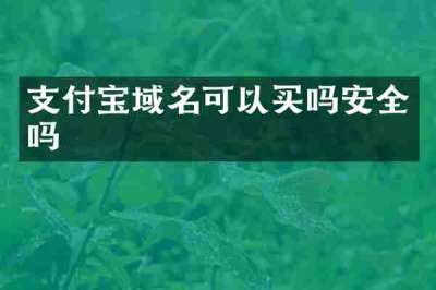 支付宝域名可以买吗安全吗