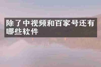 除了中视频和百家号还有哪些软件