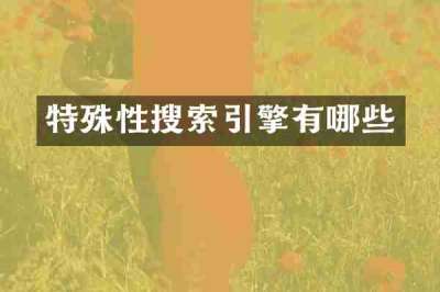 特殊性搜索引擎有哪些
