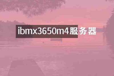 ibmx3650m4服务器