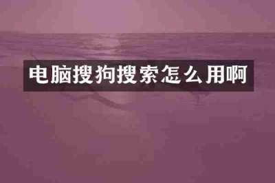 电脑搜狗搜索怎么用啊