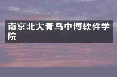 南京北大青鸟中博软件学院