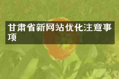 甘肃省新网站优化注意事项