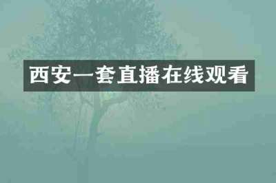 西安一套直播在线观看