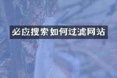 必应搜索如何过滤网站