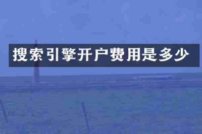 搜索引擎开户费用是多少