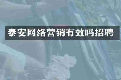 泰安网络营销有效吗招聘