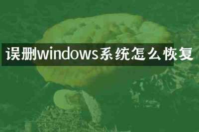 误删windows系统怎么恢复