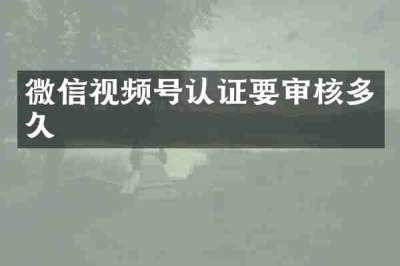 微信视频号认证要审核多久