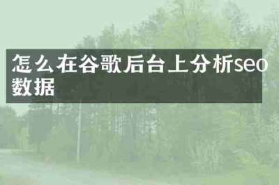 怎么在谷歌后台上分析seo数据