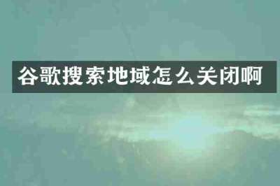 谷歌搜索地域怎么关闭啊