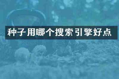 种子用哪个搜索引擎好点
