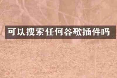 可以搜索任何谷歌插件吗