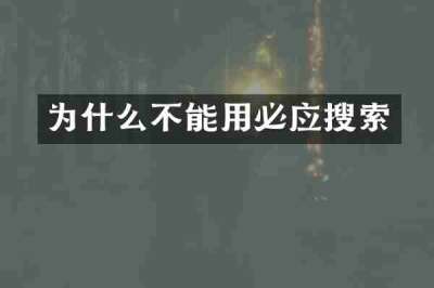 为什么不能用必应搜索