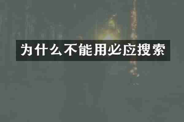 为什么不能用必应搜索