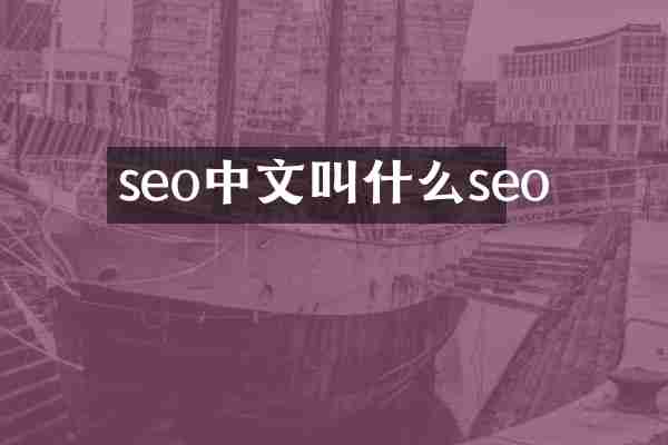seo中文叫什么seo