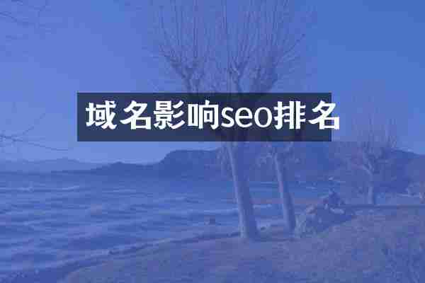 域名影响seo排名