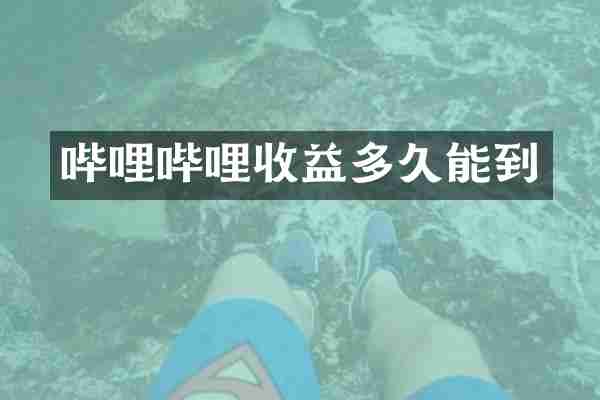 哔哩哔哩收益多久能到