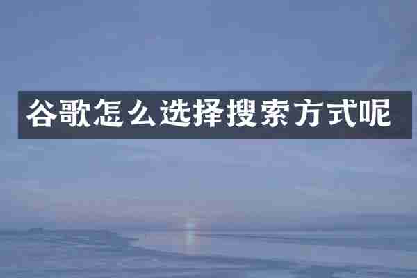 谷歌怎么选择搜索方式呢