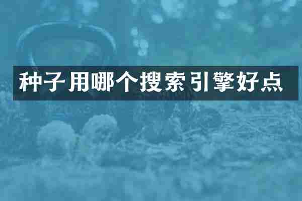 种子用哪个搜索引擎好点