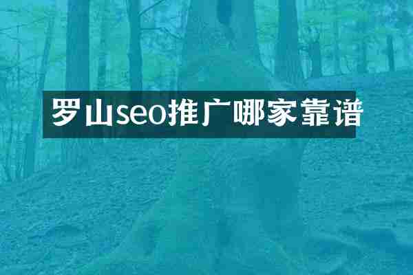 罗山seo推广哪家靠谱