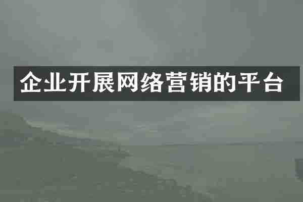 企业开展网络营销的平台