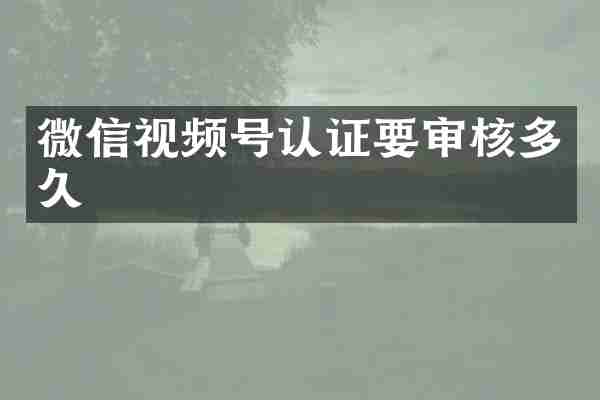 微信视频号认证要审核多久