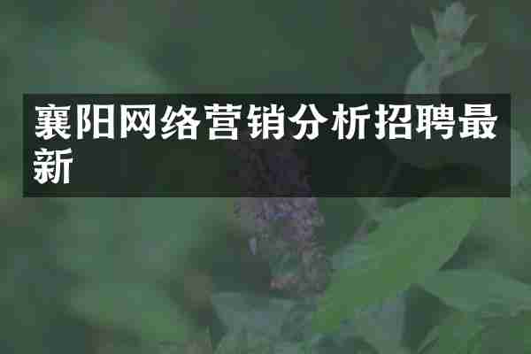 襄阳网络营销分析招聘最新