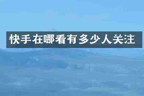 快手在哪看有多少人关注