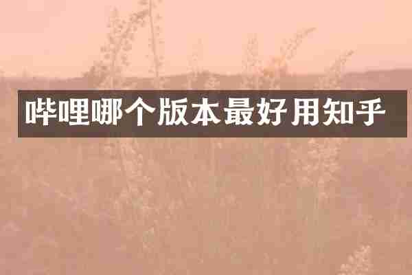 哔哩哪个版本最好用知乎