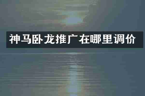神马卧龙推广在哪里调价