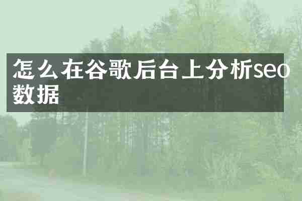 怎么在谷歌后台上分析seo数据