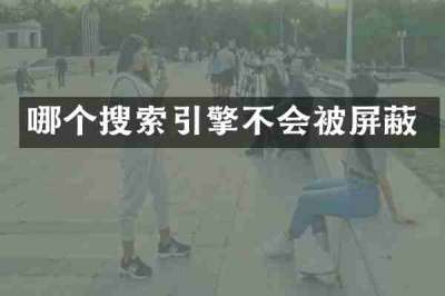 哪个搜索引擎不会被屏蔽