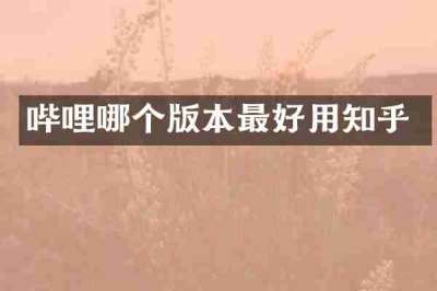 哔哩哪个版本最好用知乎