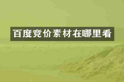 百度竞价素材在哪里看
