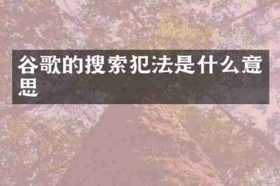 谷歌的搜索犯法是什么意思