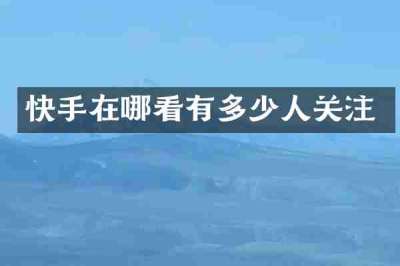 快手在哪看有多少人关注